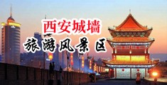 操无毛逼中国陕西-西安城墙旅游风景区